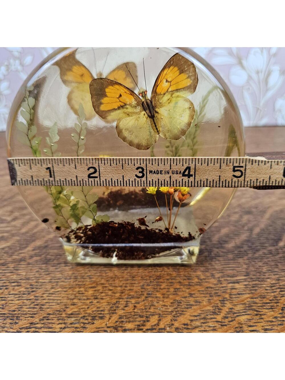 Vintage Lucite Real Butterfly Letter Holder Resin Napkin Holder Nature Diorama - Picture 8 of 11